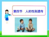 第四节 人的性别遗传　课件