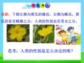 第四节 人的性别遗传　课件