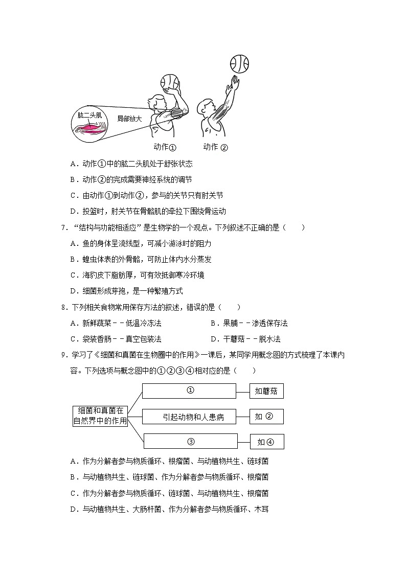 2021-2022学年山东省临沂市沂水县八年级（上）期末生物试卷   解析版02