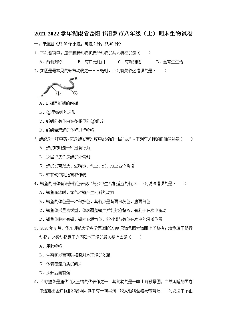 2021-2022学年湖南省岳阳市汨罗市八年级（上）期末生物试卷   解析版01