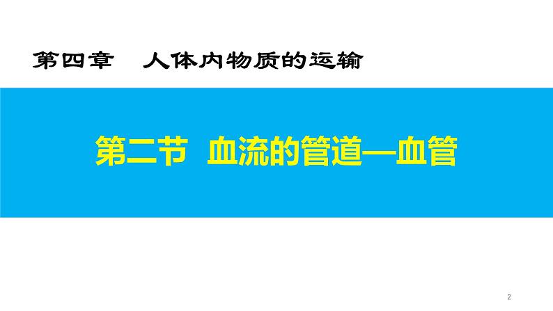 4.4.2 血流的管道—血管第2页