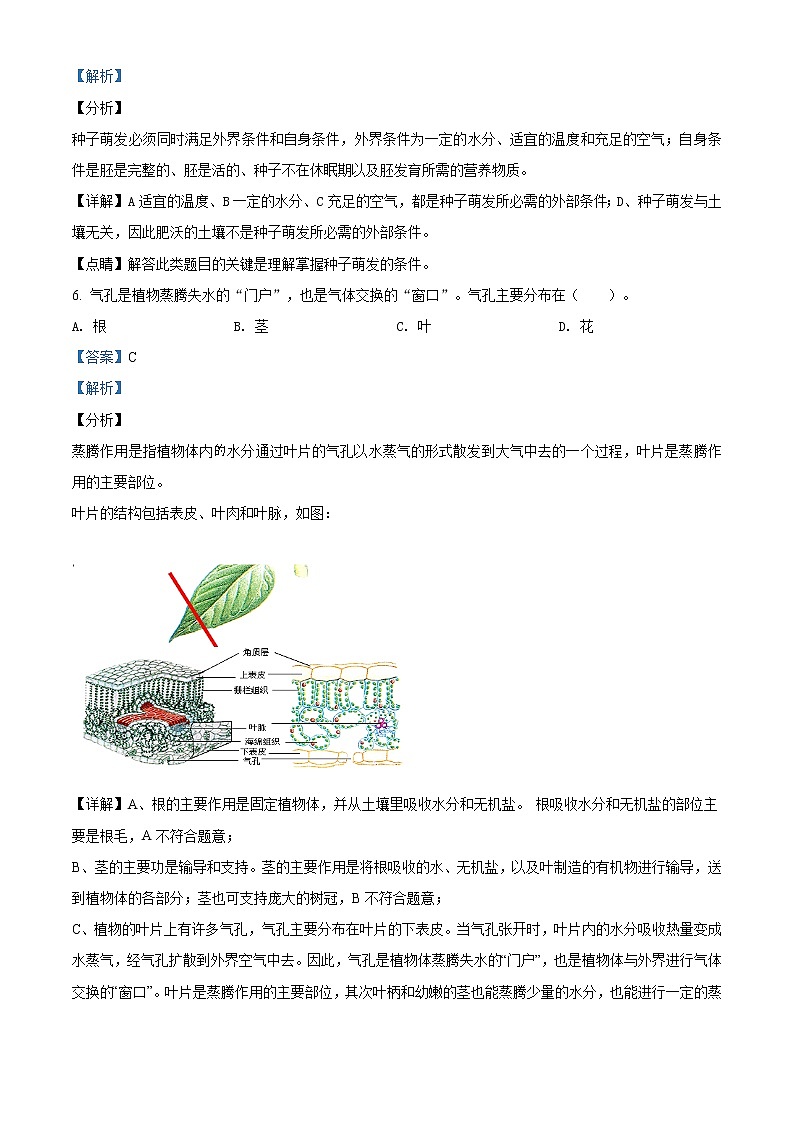 精品解析：广西贵港市覃塘区2019-2020学年二模生物试题(解析版+原卷版)03
