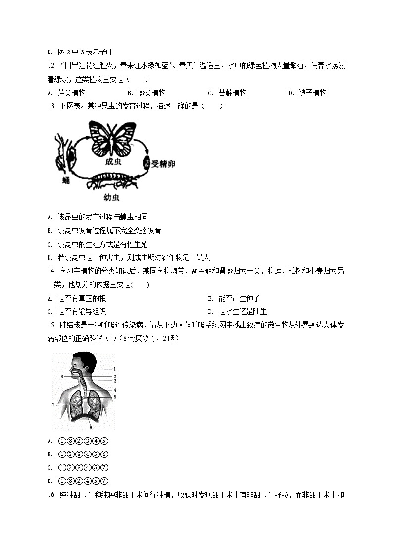 精品解析：2022年广西贺州市中考二模生物试题（原卷版）第3页
