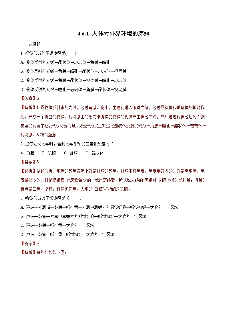 4.6.1 人体对外界环境的感知 同步练习1 初中生物人教版七年级下册（2022年）01