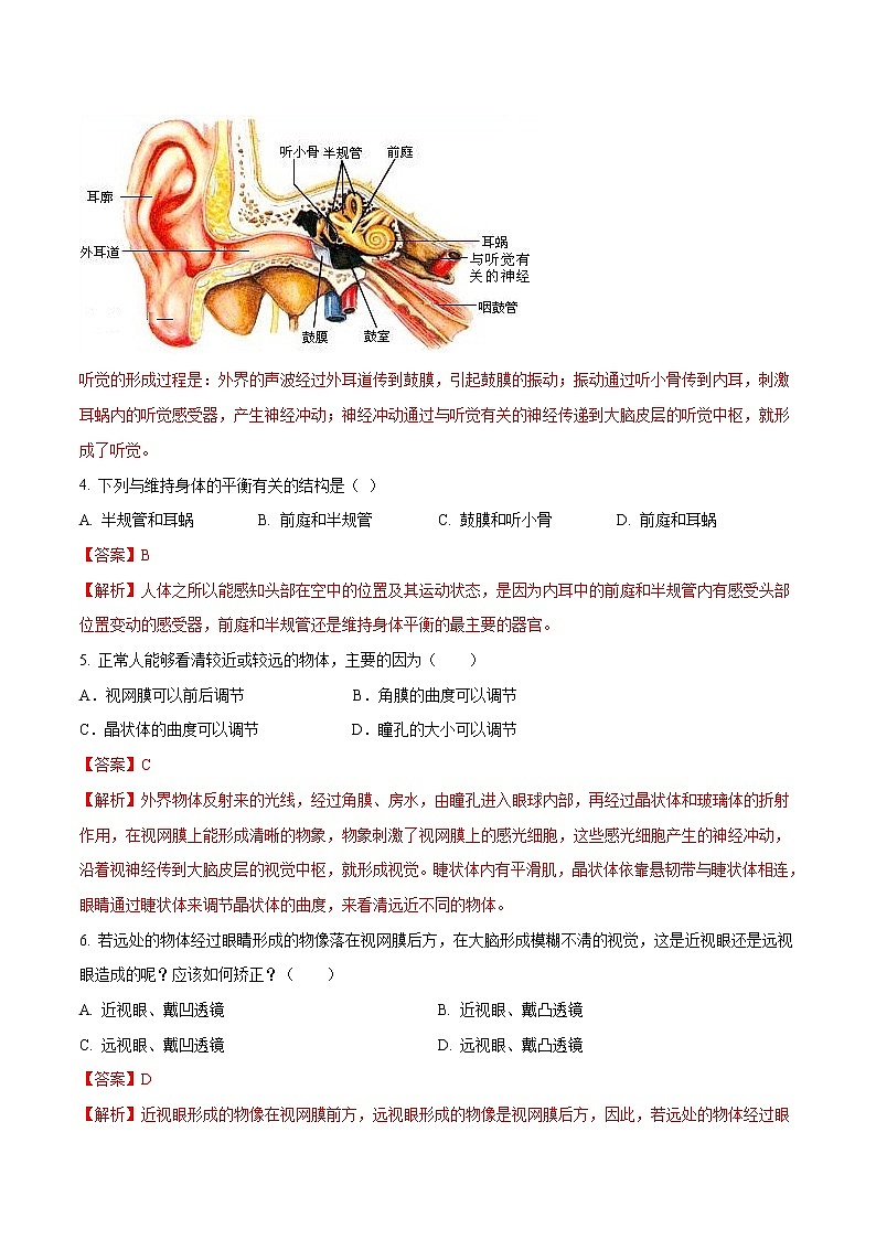 4.6.1 人体对外界环境的感知 同步练习1 初中生物人教版七年级下册（2022年）02
