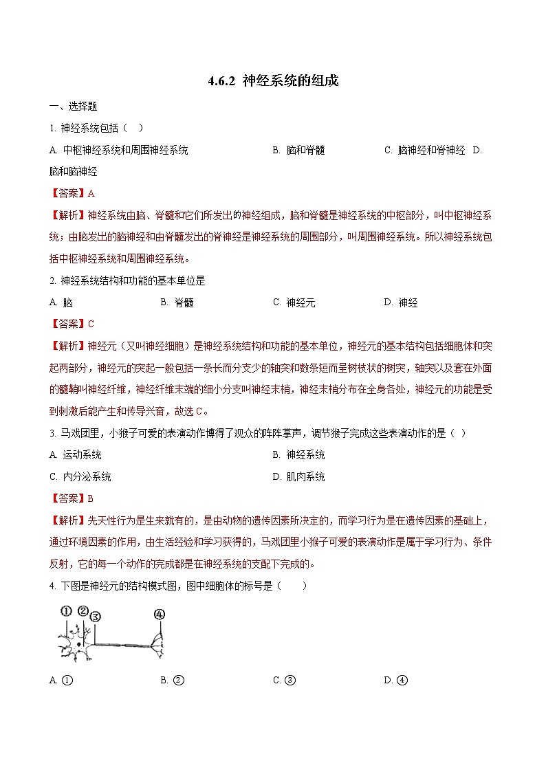 4.6.2 神经系统的组成 同步练习1 初中生物人教版七年级下册（2022年）第1页