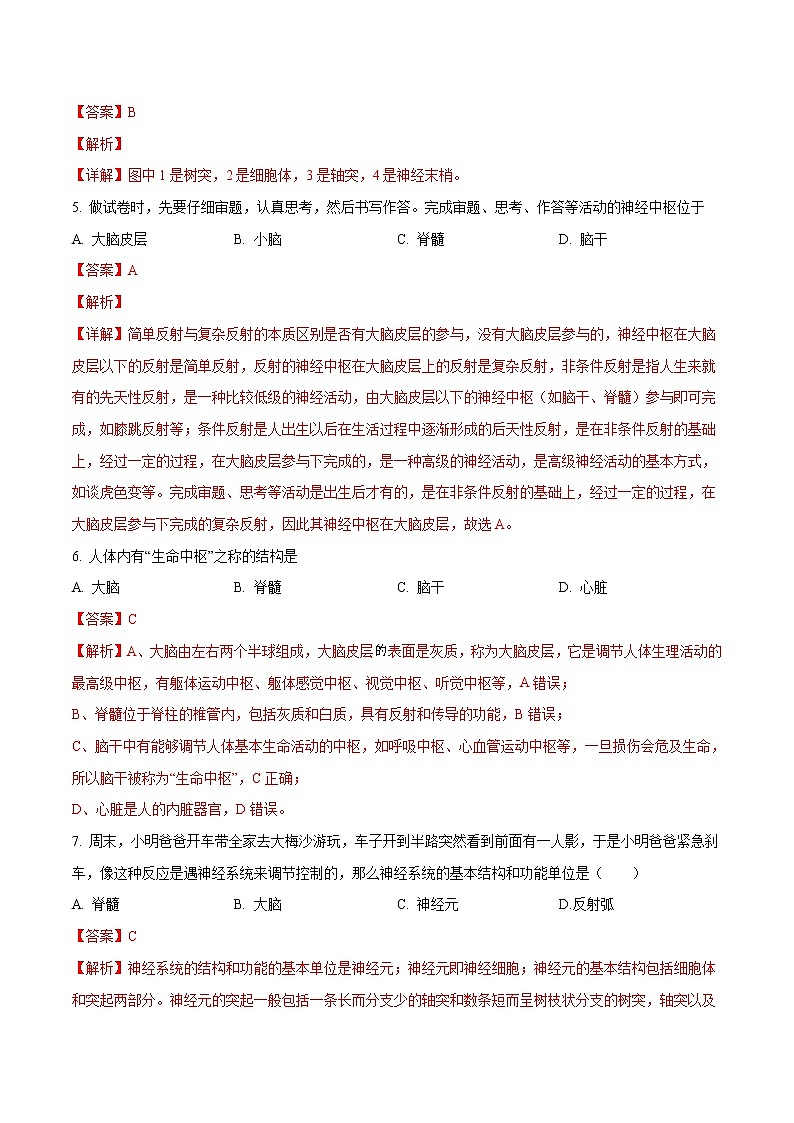 4.6.2 神经系统的组成 同步练习1 初中生物人教版七年级下册（2022年）第2页
