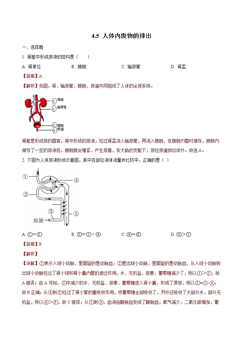 4.5 人体内废物的排出 同步练习2 初中生物人教版七年级下册（2022年）01