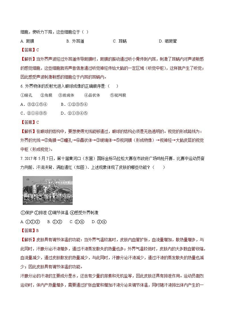 4.6.1 人体对外界环境的感知 同步练习2 初中生物人教版七年级下册（2022年）02