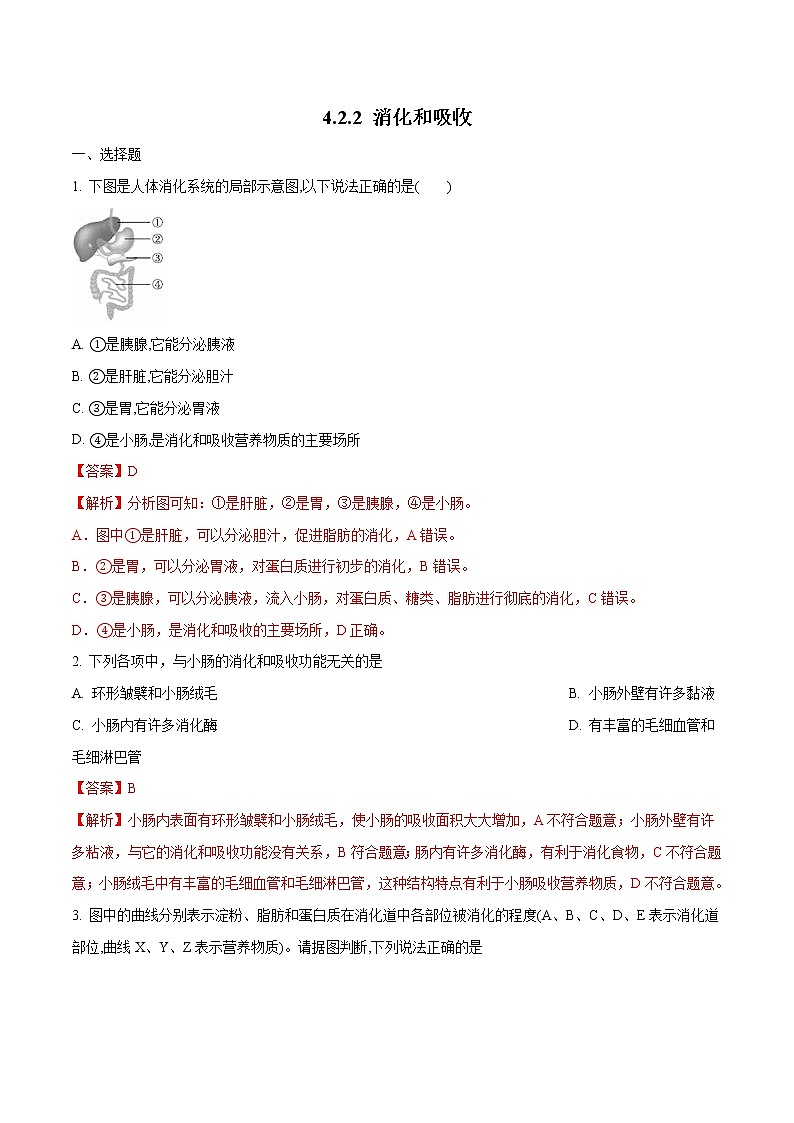4.2.2 消化和吸收 同步练习2 初中生物人教版七年级下册（2022年）01
