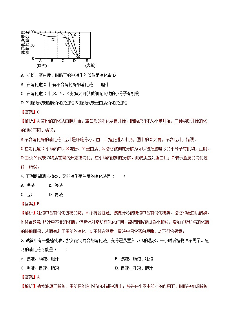 4.2.2 消化和吸收 同步练习2 初中生物人教版七年级下册（2022年）02