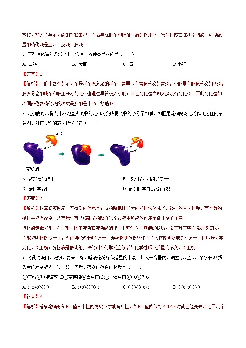 4.2.2 消化和吸收 同步练习2 初中生物人教版七年级下册（2022年）03