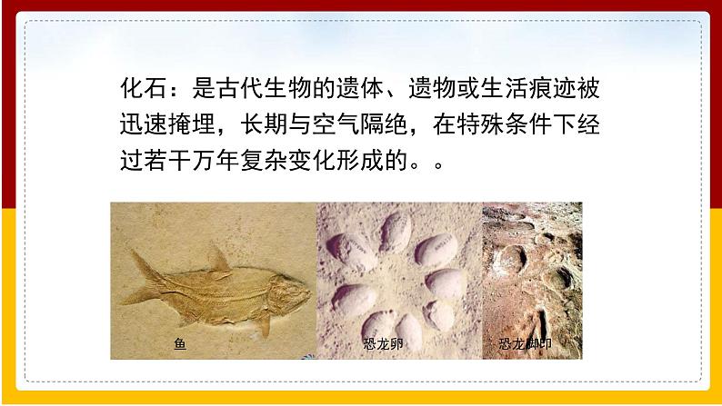 第7单元 生命的延续与进化 第23章 生物的进化 第2节 生物进化的历程课件PPT03