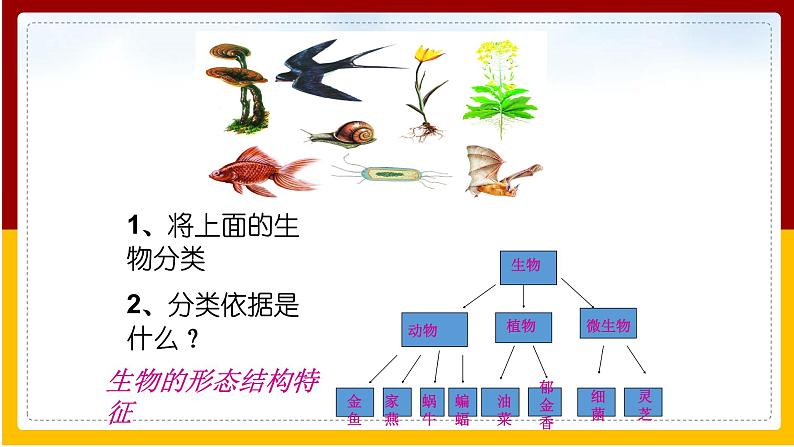 第5单元 环境中生物的多样性 第14章 生物的命名和分类 第1节 生物的命名和分类课件PPT08