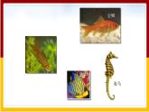 第5单元 环境中生物的多样性 第10章 水中的生物 第1节 水中的动物课件PPT