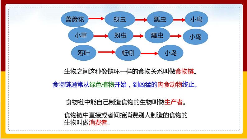 第6单元 生物与环境 第2章 生态系统 第2节 食物链和食物网课件PPT05