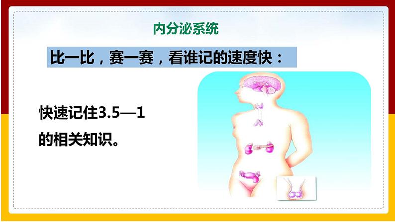 第5章 人体生命活动的调节 第1节 人体的激素调节课件PPT第4页