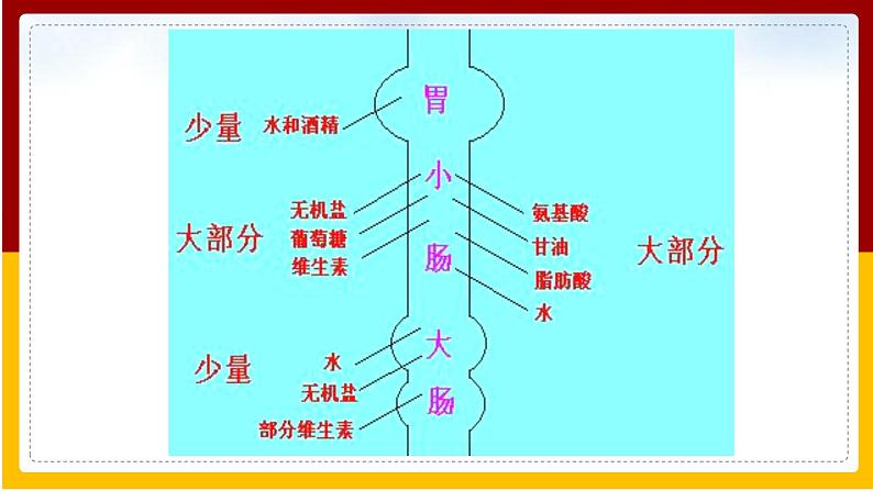 第1章 人的生活需要营养 第2节 消化和吸收(4)课件PPT第4页