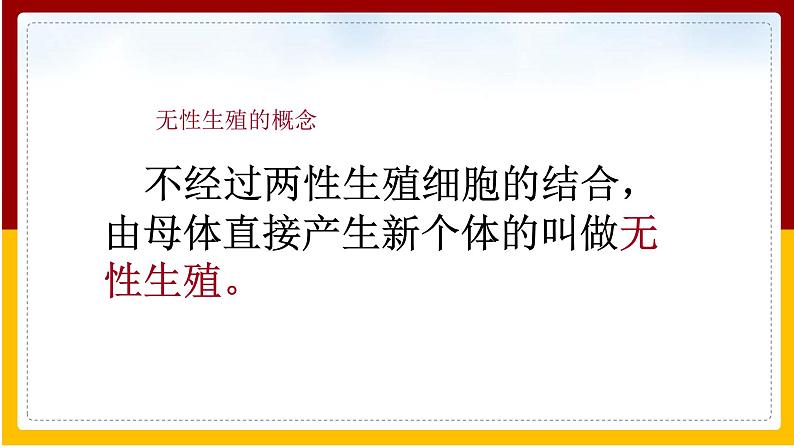 第8单元 生物的生殖、发育与遗传 第21章 生物的生殖与发育 第1节 生物的无性生殖课件PPT02