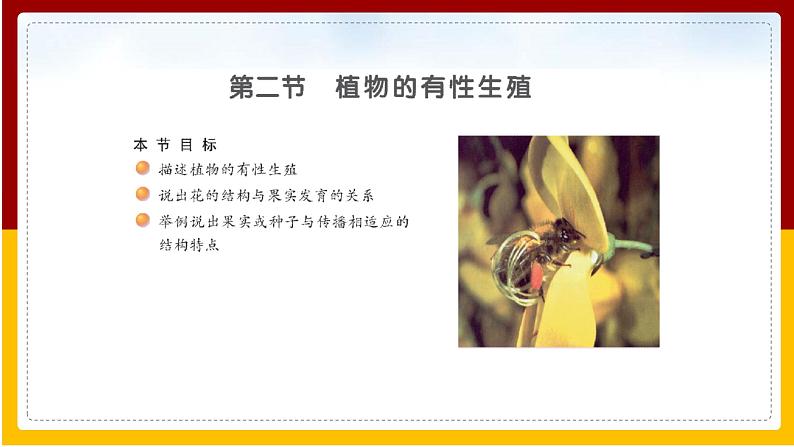 第8单元 生物的生殖、发育与遗传 第21章 生物的生殖与发育 第2节 植物的有性生殖课件PPT02