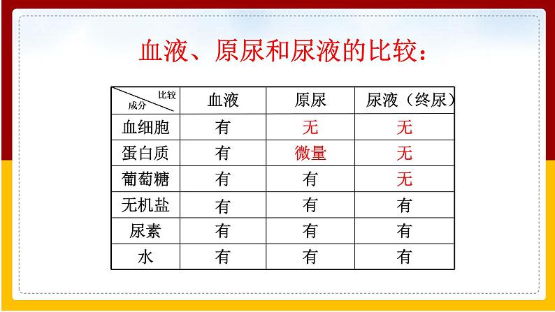 第11章 人体内的废物排入环境 第2节 人体废物的排出课件PPT06