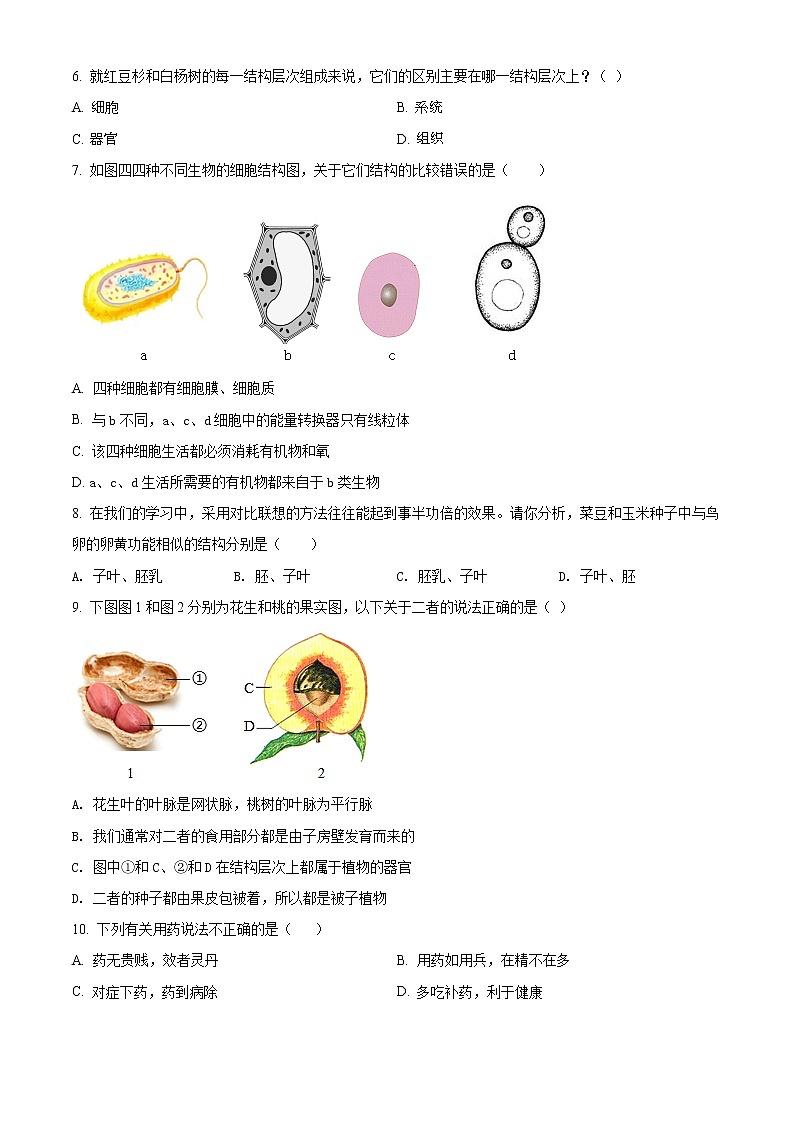 精品解析：2021年广西贺州市中考二模生物试题（解析版+原卷版）02