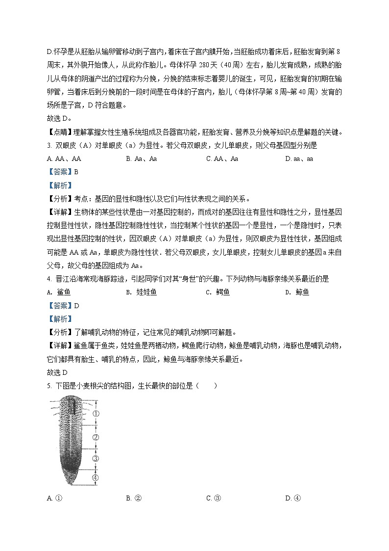 精品解析：2021年广西贺州市中考二模生物试题（解析版+原卷版）02