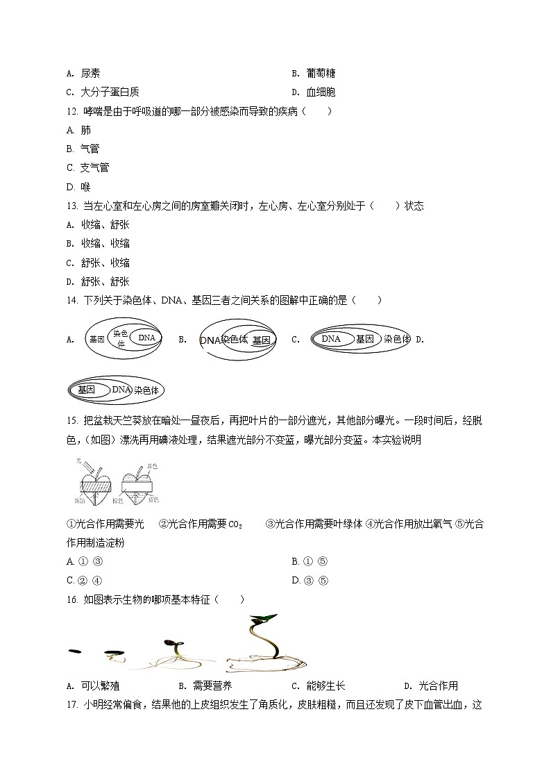 精品解析：2021年广西贺州市中考二模生物试题（解析版+原卷版）03