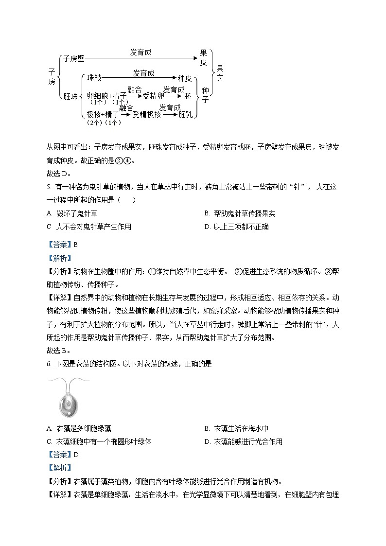 精品解析：2021年广西贺州市中考二模生物试题（解析版+原卷版）03