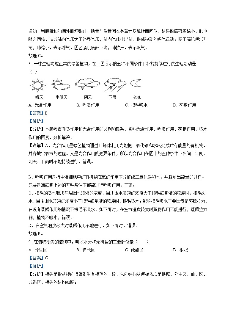 精品解析：2021年广西贺州市中考二模生物试题（解析版+原卷版）02