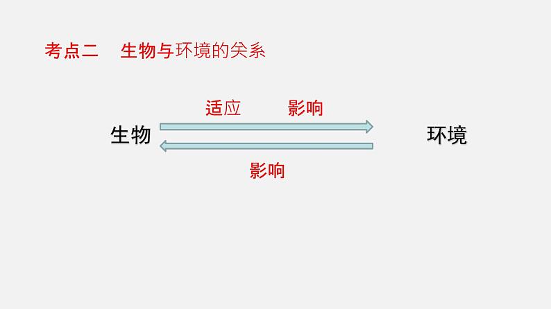 人教版初中生物复习 专题1生物和生物圈课件06