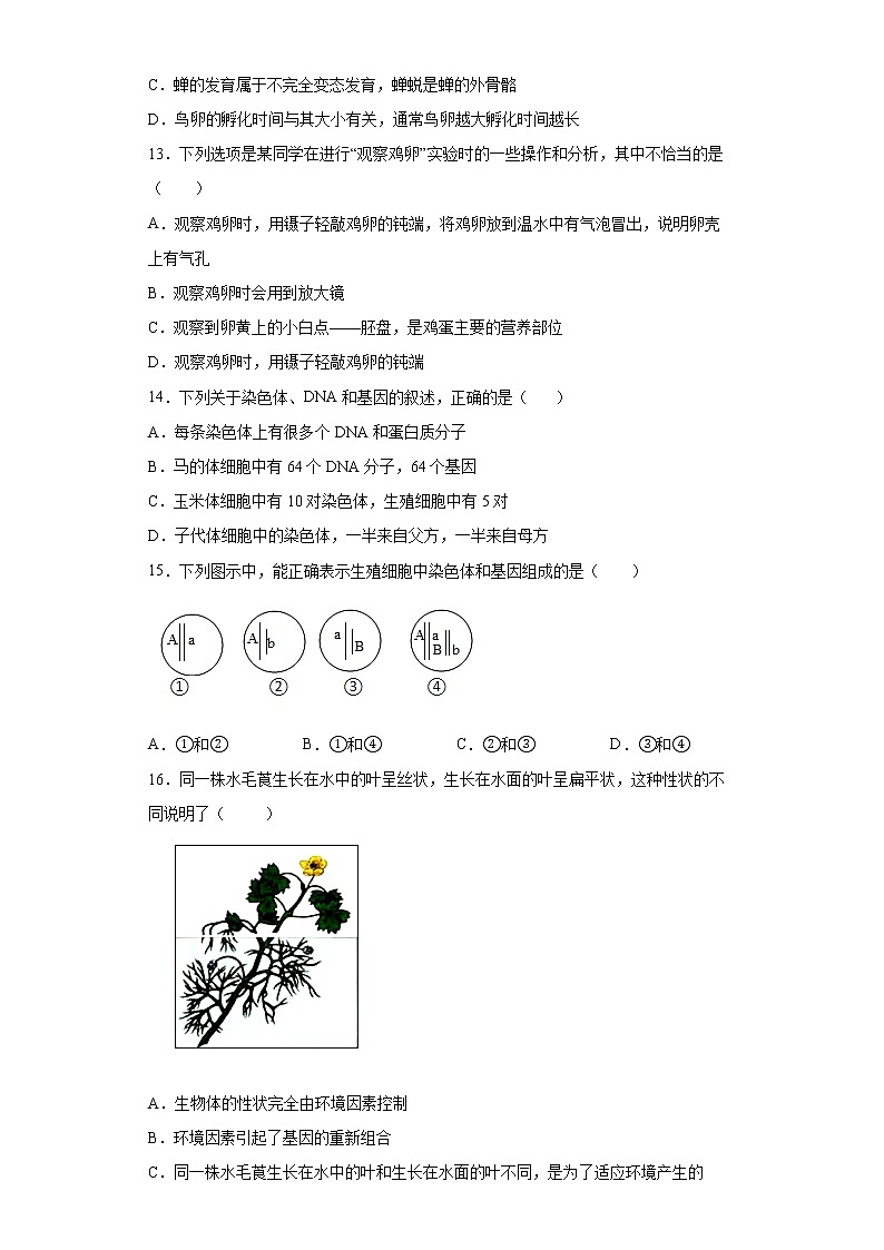 山东省东营市2021-2022学年八年级上学期期末生物试题（word版 含答案）第3页