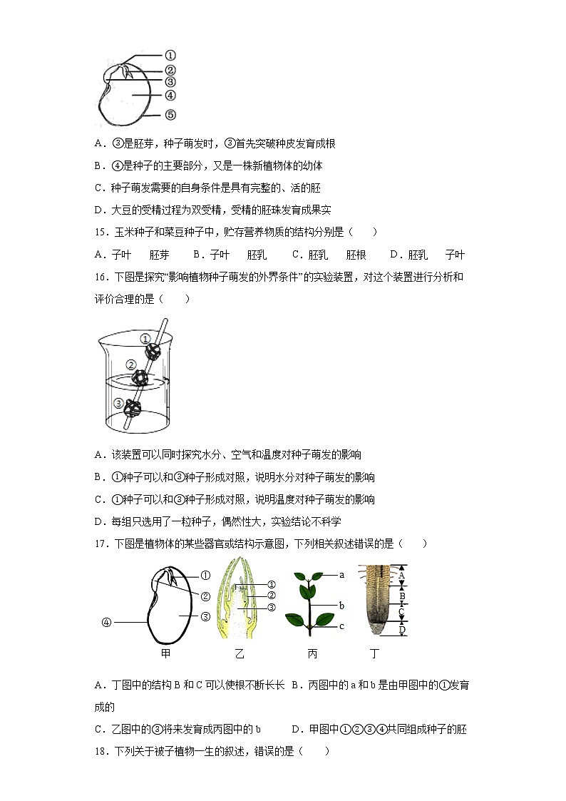 四川省德阳市旌阳区2021-2022学年七年级上学期期末生物试题（word版 含答案）第3页