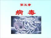 《病毒》课件