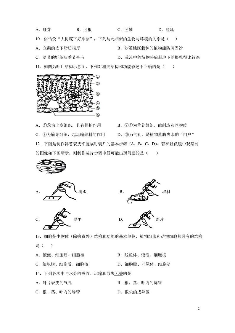 七年级上册生物期末考试试卷及答案第2页