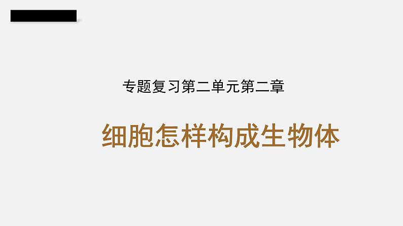 人教版初中生物复习 专题3 细胞怎样构成生物体课件第1页