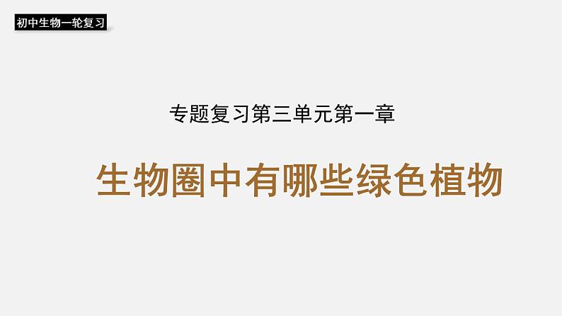 人教版初中生物复习 专题4 生物圈中有哪些绿色植物 课件第1页