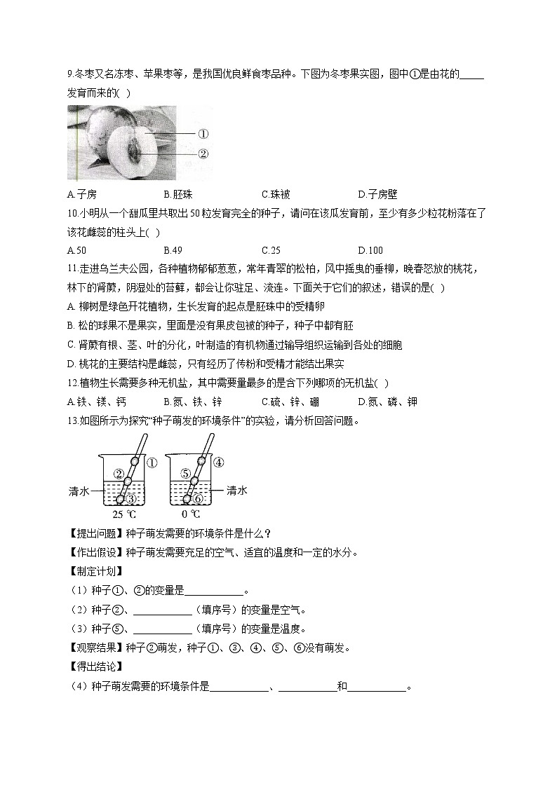 专题三 绿色开花植物的一生-2022届中考生物一轮复习专项通关训练02