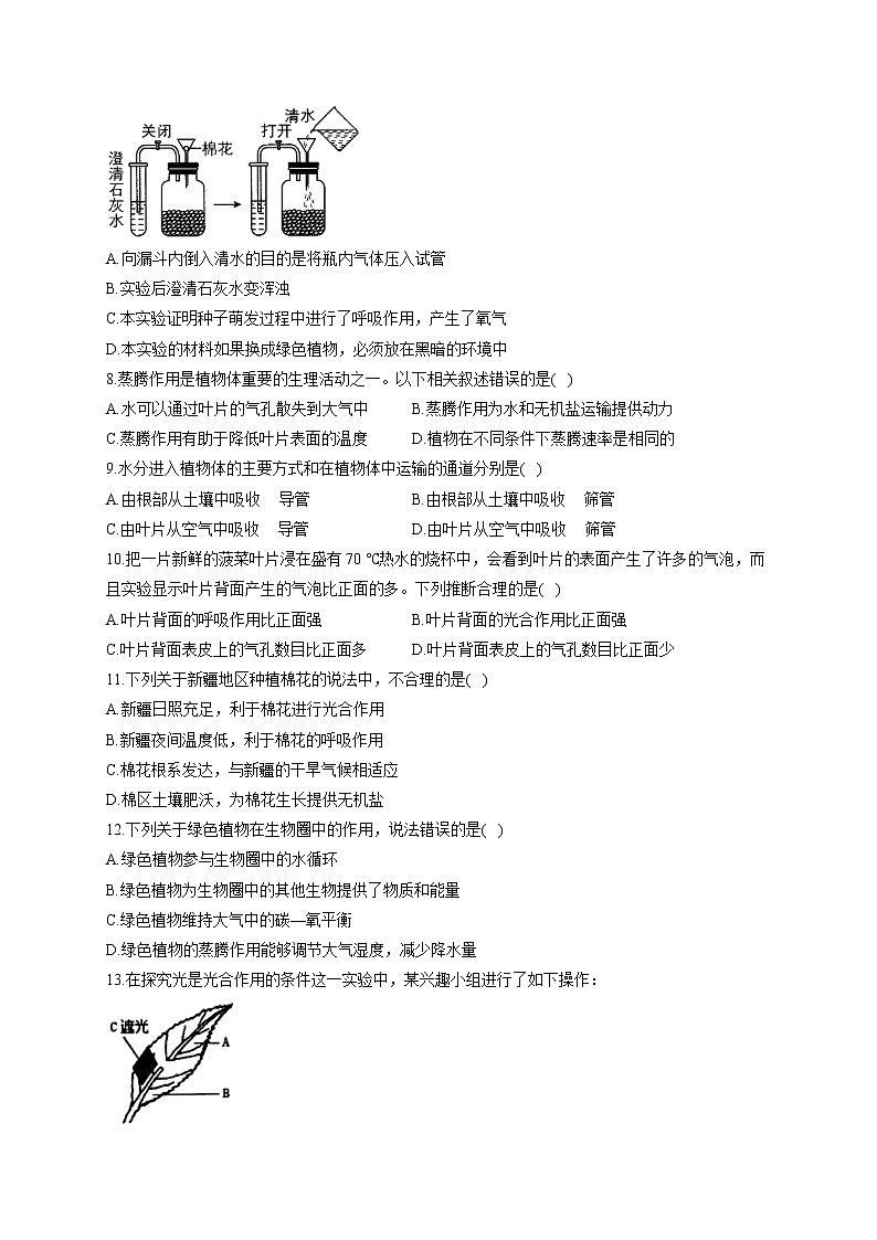 专题四 绿色植物的作用-2022届中考生物一轮复习专项通关训练第2页