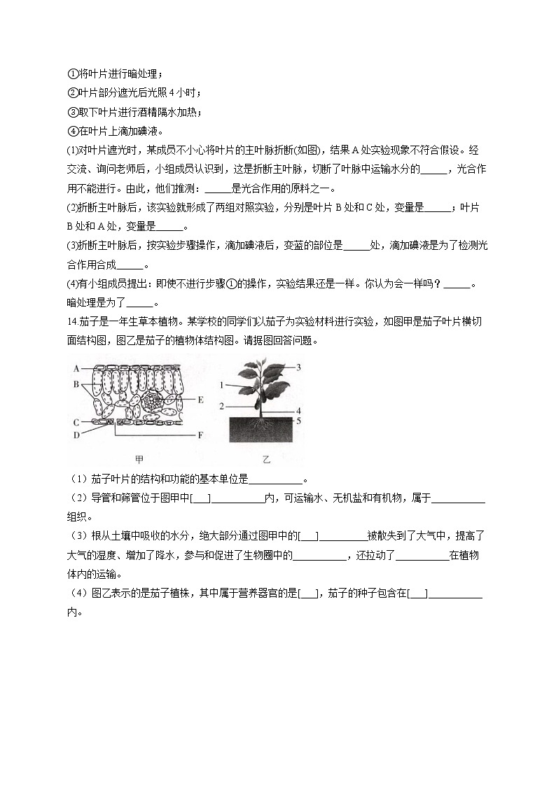 专题四 绿色植物的作用-2022届中考生物一轮复习专项通关训练第3页