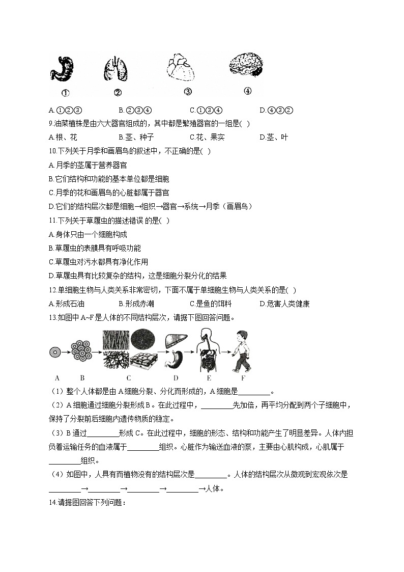 专题二 生物的结构层次-2022届中考生物一轮复习专项通关训练第2页