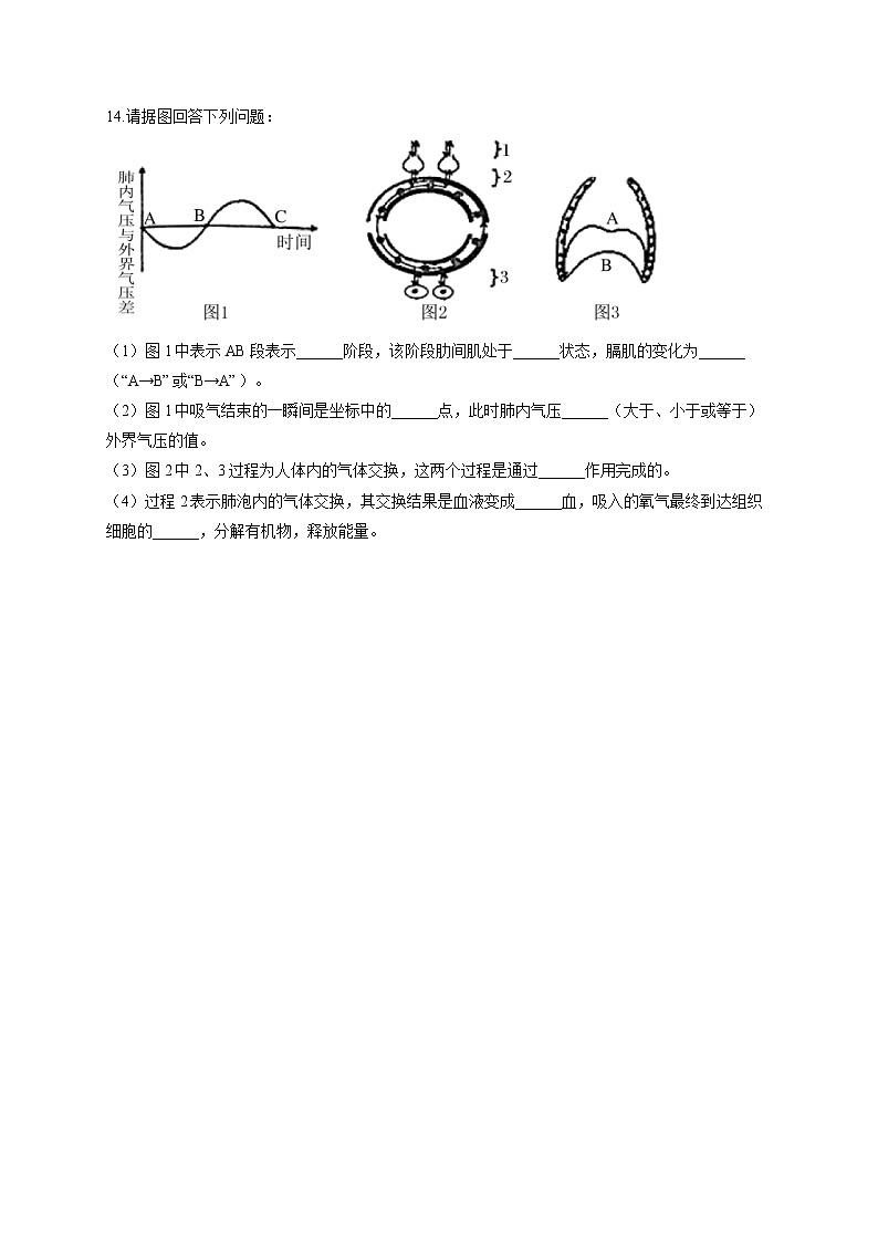 专题五 人体的营养和呼吸-2022届中考生物一轮复习专项通关训练03