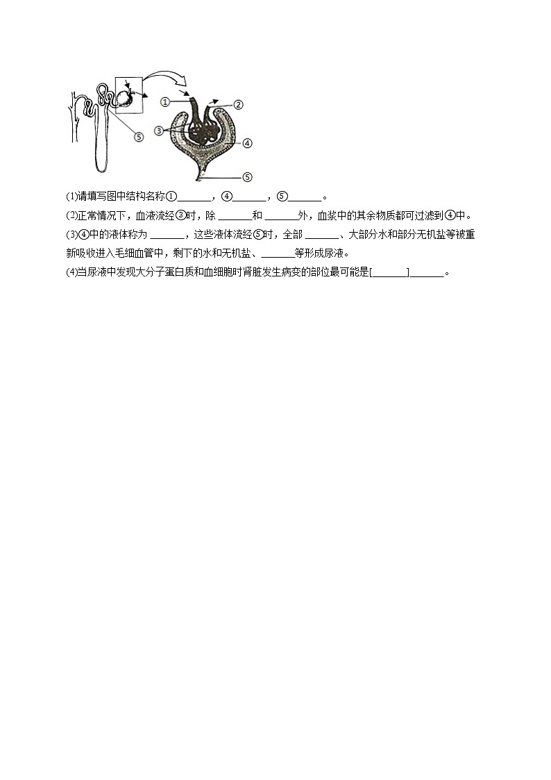 专题六 人体内物质的运输及废物的排出-2022届中考生物一轮复习专项通关训练第3页