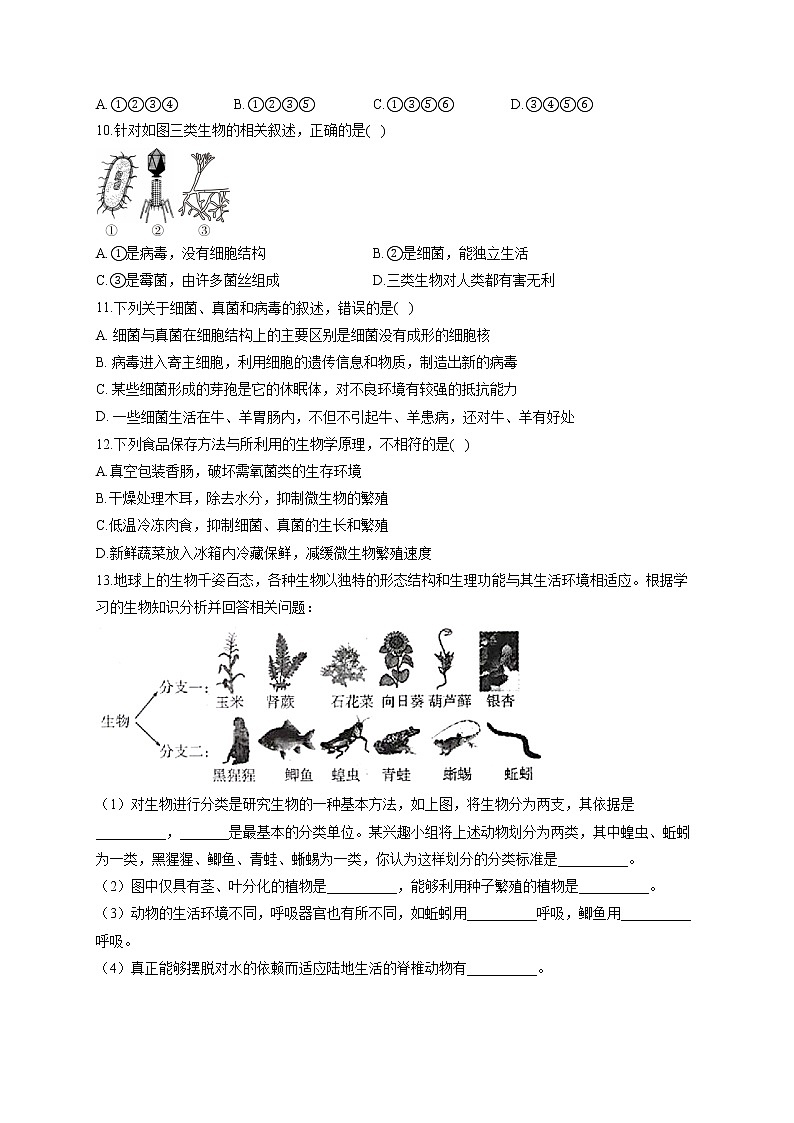 专题九 各种各样的生物-2022届中考生物一轮复习专项通关训练02