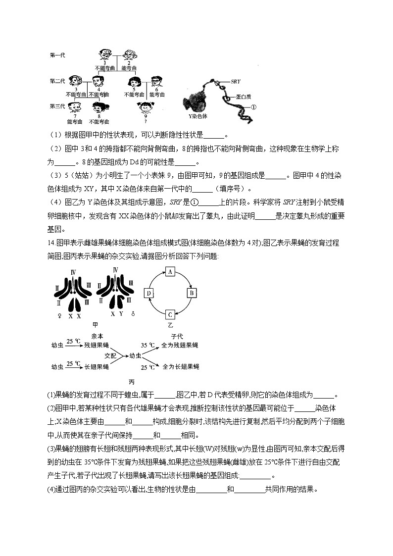 专题十二 生物的遗传和变异-2022届中考生物一轮复习专项通关训练第3页