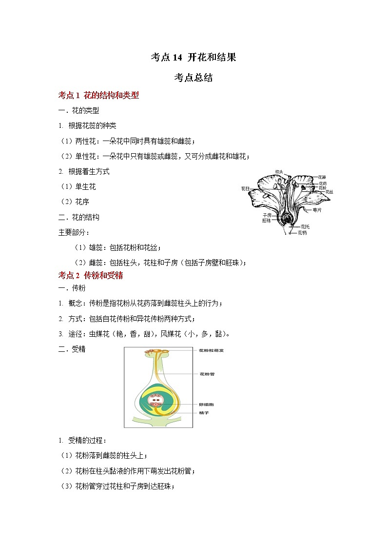 考点14 开花和结果（解析版）-2022年生物中考一轮复习考点透析（人教版）第1页