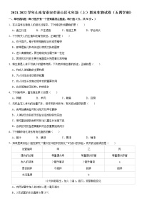 2021-2022学年山东省泰安市泰山区（五四学制）七年级（上）期末生物试卷   解析版