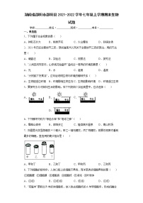 湖南省邵阳市邵阳县2021-2022学年七年级上学期期末生物试题（word版 含答案）