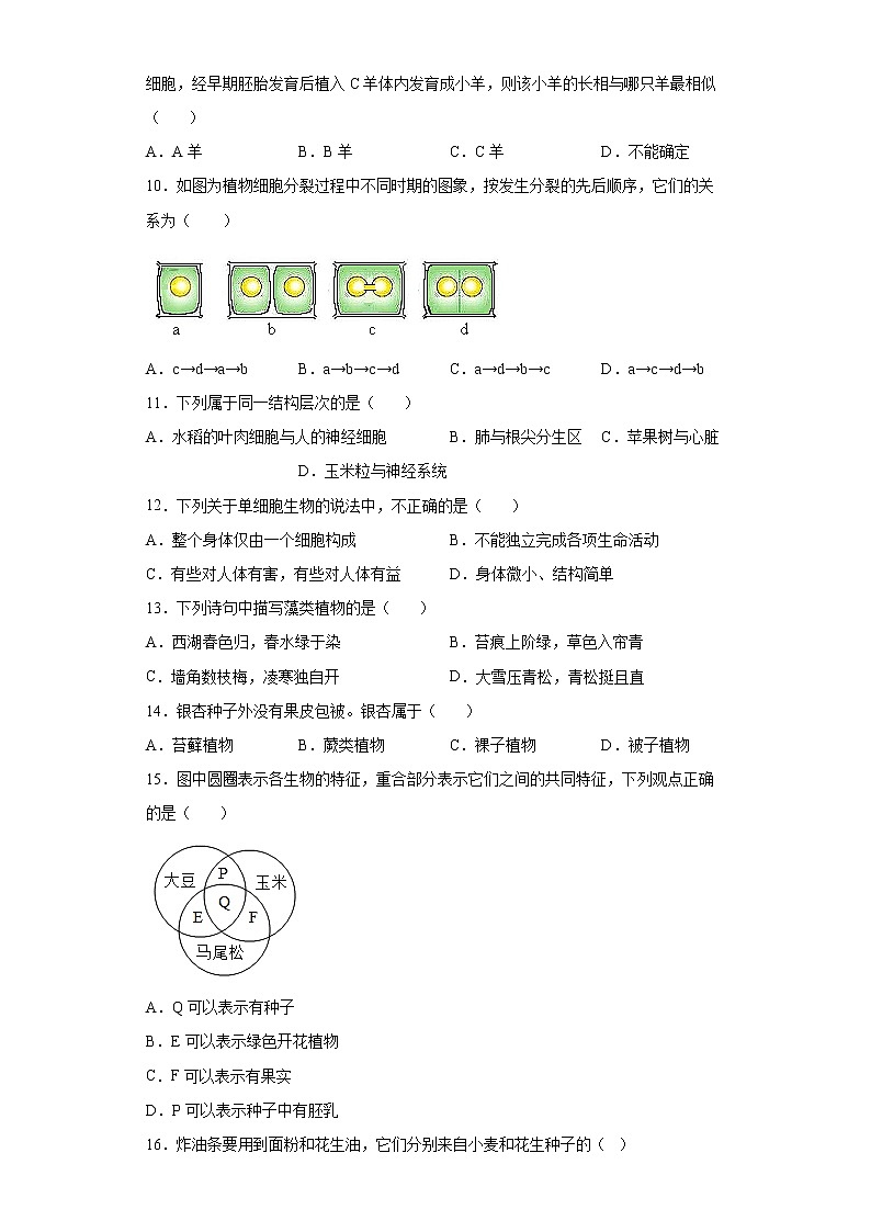 湖南省邵阳市邵阳县2021-2022学年七年级上学期期末生物试题（word版 含答案）02
