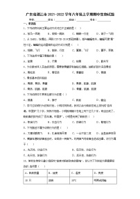 广东省湛江市2021-2022学年八年级上学期期中生物试题（word版 含答案）